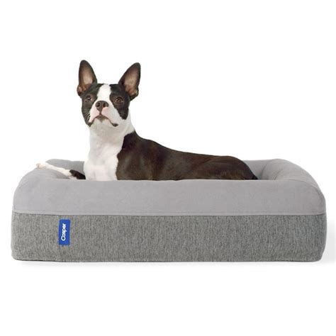 The 4 Best Dog Beds of 2023, Tested and Reviewed