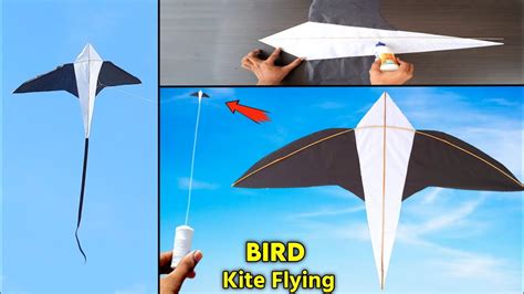 Bird Kite Flying How To Make Kite Flying Homemade Kite Patang