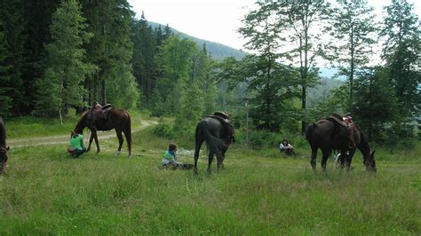 RAJD KONNY 11 DNI BIESZCZADY 2021 Rajd Konny 11 Dni Bieszczady 2021