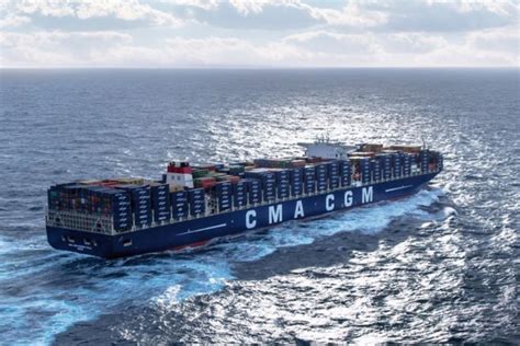 Daily Position Cma Cgm Braincp