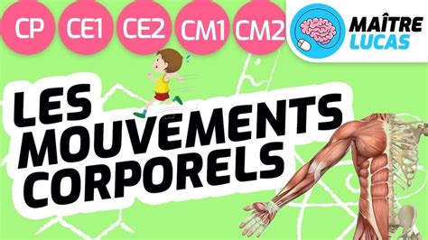 Les Mouvements Corporels Cp Ce Ce Cm Cm Ma Tre Lucas