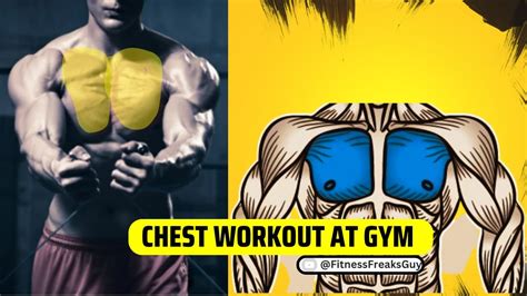 Chest Workout At Gym How To Get Bigger Chest Chest Exercises At Gym 7 Big Chest Exercises