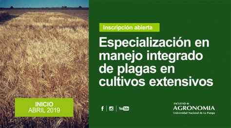 Especialización En Manejo Integrados De Plagas En Cultivos Extensivos Facultad De Agronomía Y