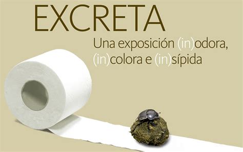 Excreta Una Exposición Incolora Inodora E Insípida