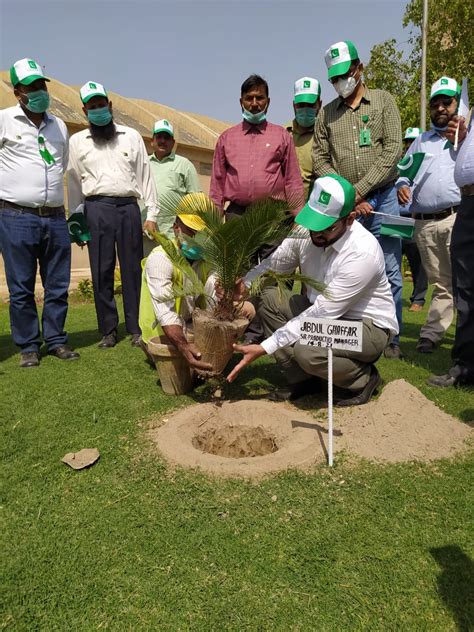 Tree Plantation Drive Environment Protection Department