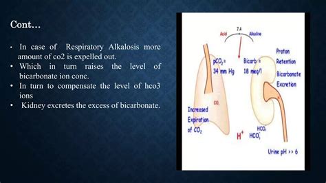 Respiratory Alkalosis Ppt