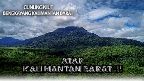 ATAP KALBARGUNUNG NIUT KALIMANTAN BARAT RIMBA PROJECT YouTube