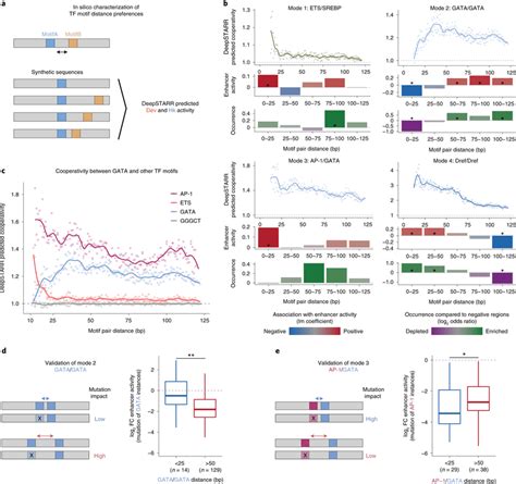 In Silico Analysis Reveals Distinct Modes Of Motif Cooperativity A