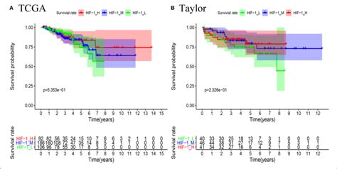 Comparison Of Rfs Survival Prognosis Among Three Pca Subtypes In The