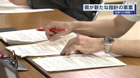 性暴力根絶へ 県が新たな指針の素案を有識者などの会議に示す｜nhk 北九州のニュース