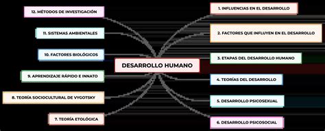 Desarrollo Humano Mapa Conceptual Y Resúmen Algor Cards