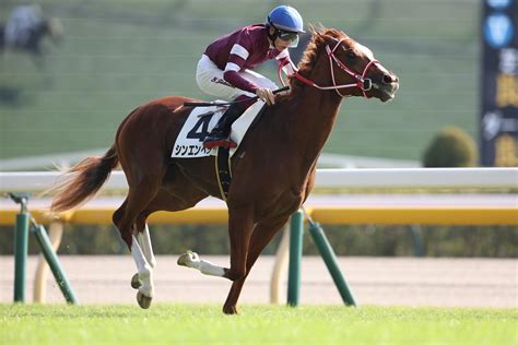 【ホープフルs2023予想】gⅠ昇格後は6戦5勝！今年はリーディング争いにも注目！？ 競馬hotline 競馬関係者情報で予想するなら