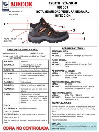 Calzado De Seguridad PDF