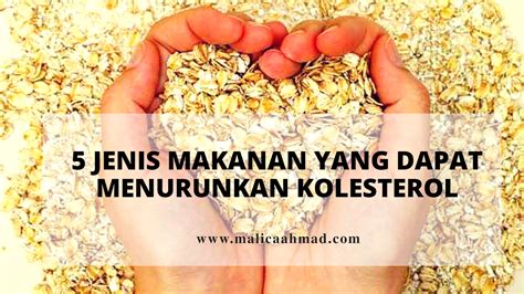 5 Jenis Makanan Yang Dapat Menurunkan Kolesterol Malica Ahmad