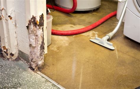 5 Tips On Water Damage Restoration For Your Home Dwellingidea