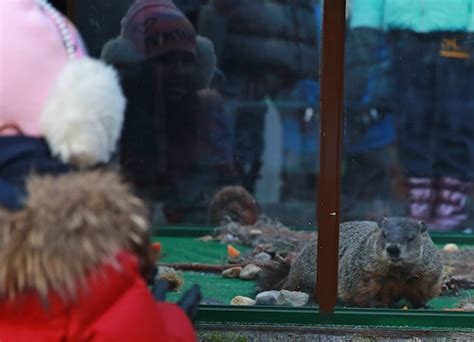 Groundhog Day 2021: Punxsutawney Phil ceremony to go virtual due to COVID-19; here’s how to ...