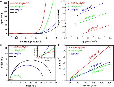 Electrochemical Characterization For OER A Polarization Curves Of