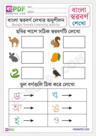 Bengali Vowels Activity Worksheets PDF Download - BongPDF