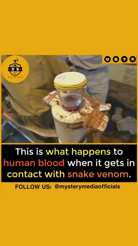 Human Blood Vs Snake Venom Artofit