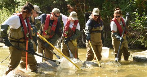 Aquatic Habitat & Biodiversity - Toronto and Region Conservation ...