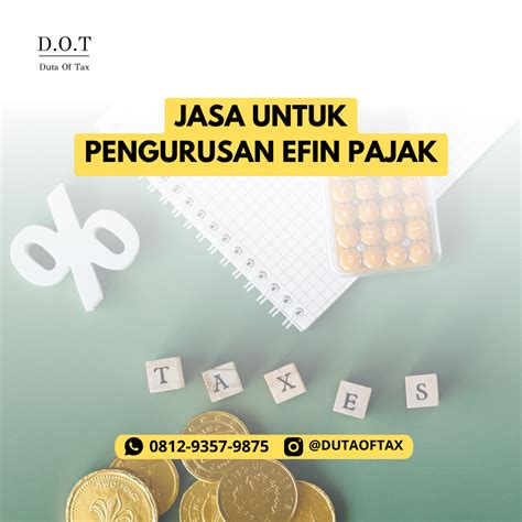 efin   fungsinya konsultan pajak