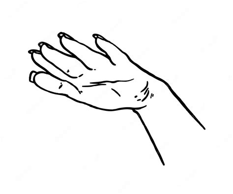 Premium Vector | Female hand with long nails human body part doodle linear cartoon coloring