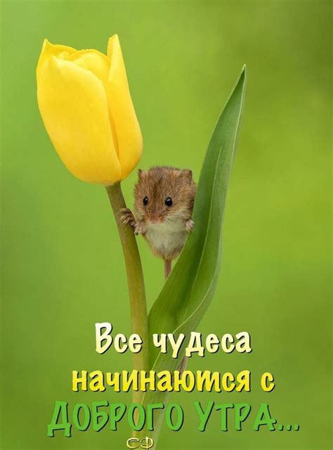 Пин от пользователя Елена Коробова на доске Открытки | Христианские ...