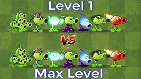 Plants Vs Zombies All Peashooter Level Vs Peashooter Max Level Vs