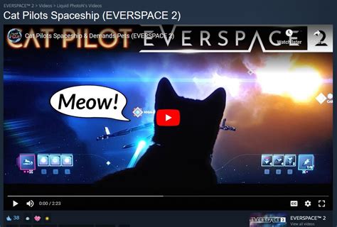 EVERSPACE 2 On Twitter EVERSPACE 2 Is A Feline Flight Combat Training