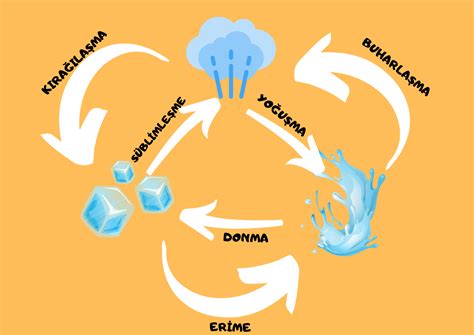 5.Sınıf 4.Ünite Fen Bilimleri Posterler -Fen Posteri - FENOZOM