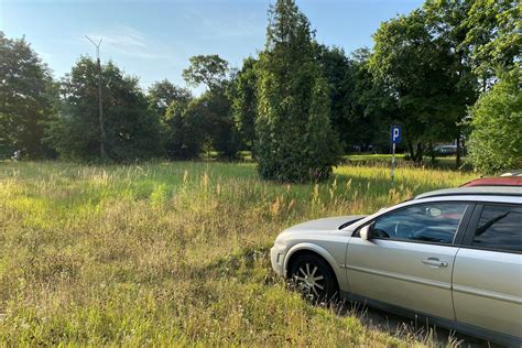 W Kędzierzynie Koźlu powstanie skwer bioróżnorodności Dziś Radio Opole