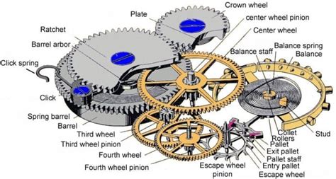 Parts Of A Watch Diagram