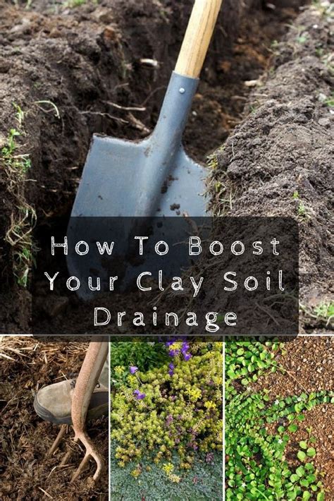 How To Boost Your Clay Soil Drainage Crafts Love