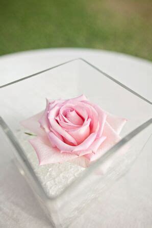 Low Pink Rose And White Hydrangea Centerpiece