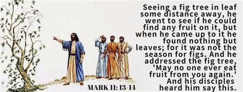 Mark 11 14 Seeing A Fig Tree In Leaf Some Distance Away He Went To See If He Could Find Any