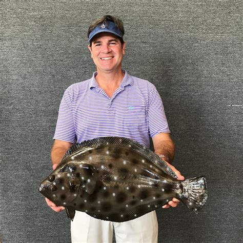 Wildlife Designs Taxidermy Pictured Here Is A Huge Flounder And A