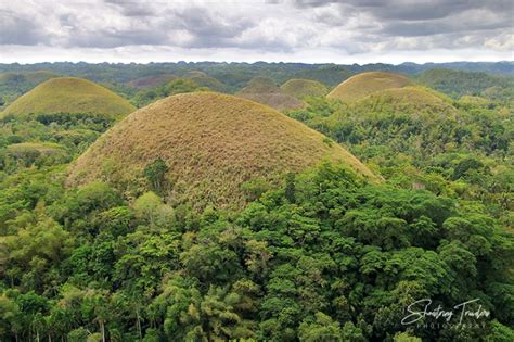 8 Hot Sexy Halea Brown Bikini Pics