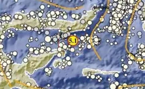 Gempa Terkini M Guncang Sulut Terasa Hingga Luwuk