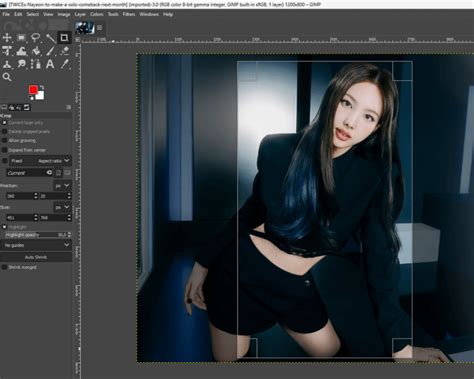 pakai gimp gnu image manipulation program  pemula