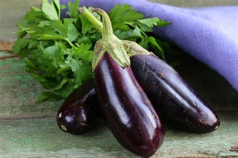 How To Grow Eggplants Gardening Tips Quiet Corner