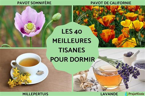 Meilleures Tisanes Pour Dormir Infusions Pour Dormir