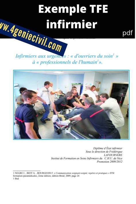 Exemple De Tfe Gratuit Pdf