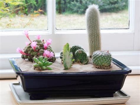 16 Simple Yet Beautiful DIY Cactus Pots That Everyone Can Make