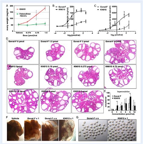 Figure 4 From Development And Characterization Of A Novel Long Acting