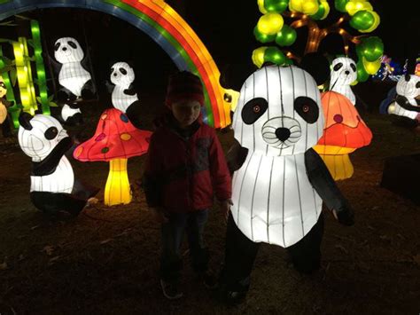 PHOTOS: NC Chinese Lantern Festival - ABC11 Raleigh-Durham