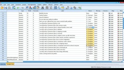 Data Entry Into Spss How To Enter Data Into Spss In Easy Way Step By Stephow To Add Values