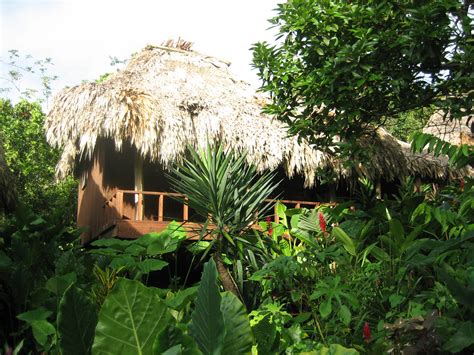 Belize Jungle & Reef Adventure – GL Tours