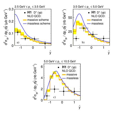 Double differential cross section d 2 σ γp dˆydpdˆydp for three