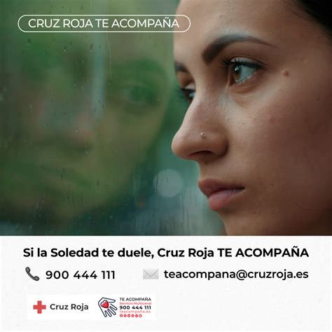 Cruz Roja Atiende Más De 8000 Llamadas Y Mensajes A Través Del