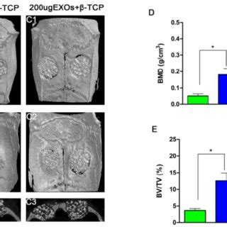 Hipsc Msc Exos Promoted Osteoblast Proliferation Differentiation And